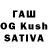 ГАШИШ Premium Kot Treyser