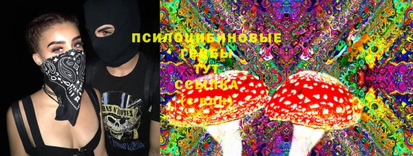 героин Алексин