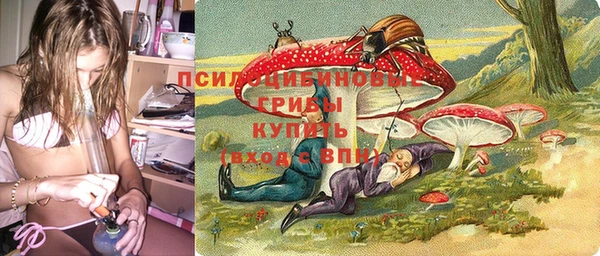 героин Алексин
